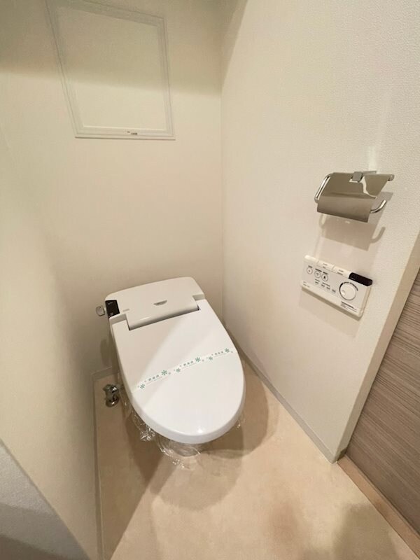 物件内観写真11　(落ち着いた色調のトイレです)