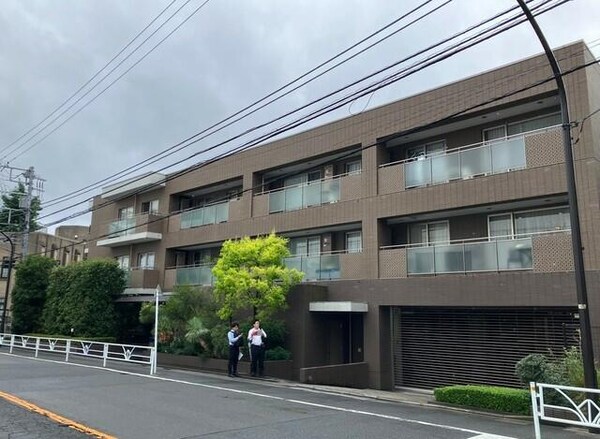 外観( )