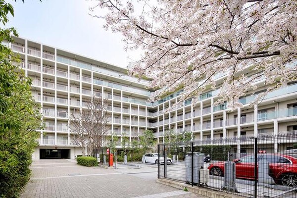 眺望(2018年3月撮影 )