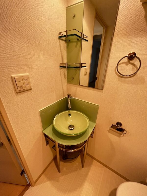 物件内観写真11　(明るい洗面所です)