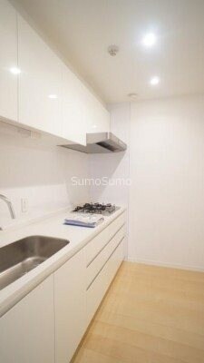 物件内観写真5　(きれいなキッチンです)