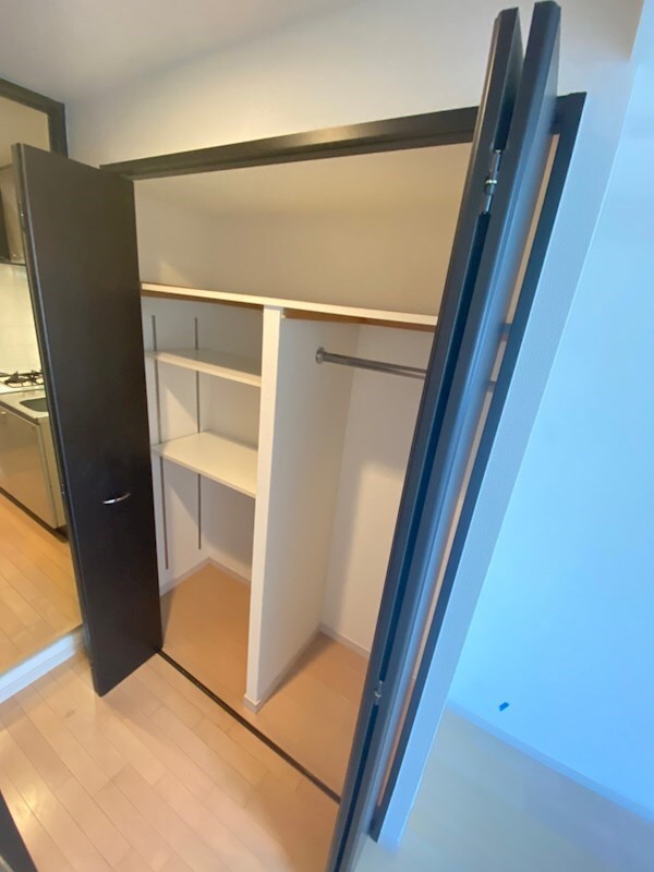 物件内観写真13　(たっぷりとした収納スペースです)