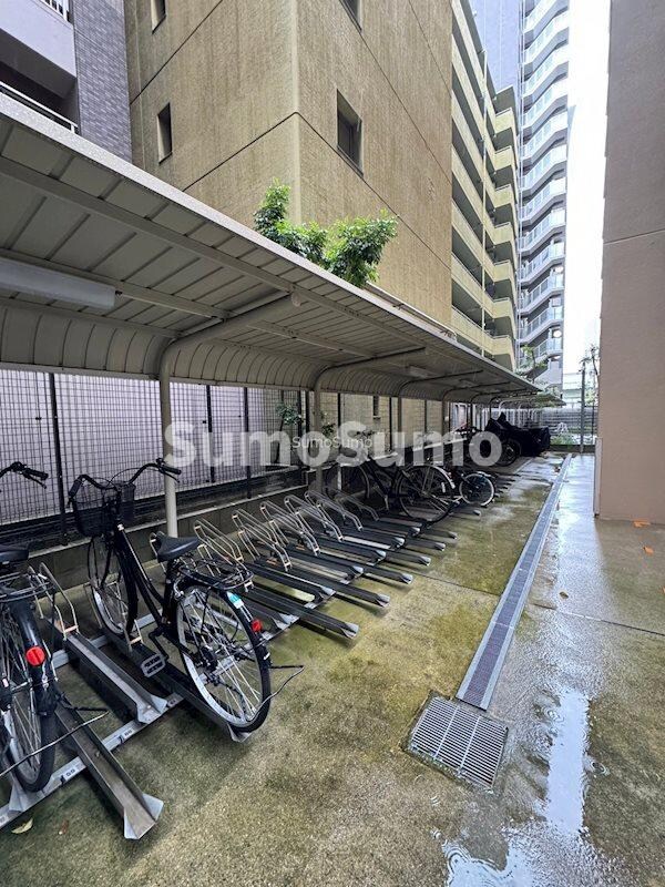駐車場(外観は落ち着いています)