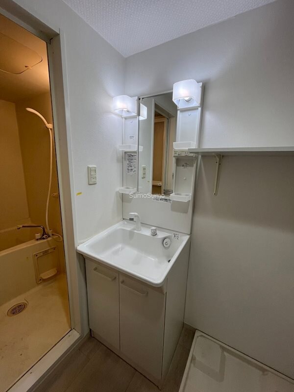 洗面・脱衣所(ゆったりとスペースのある洗面所)