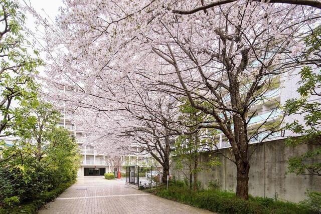 物件内観写真16　(2018年3月撮影 )