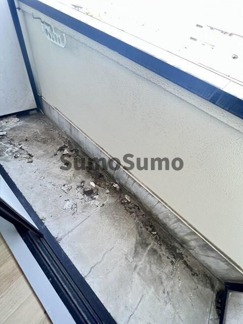 物件内観写真7　(陽当たり良好なバルコニーです)