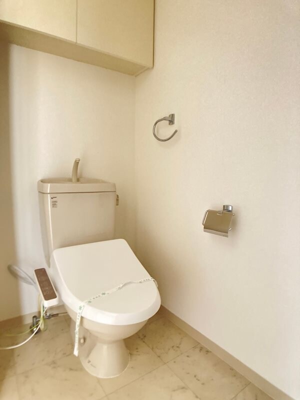 物件内観写真10　(落ち着いた色調のトイレです)