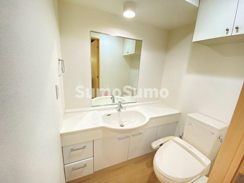 物件内観写真9　(ゆったりとスペースのある洗面所)