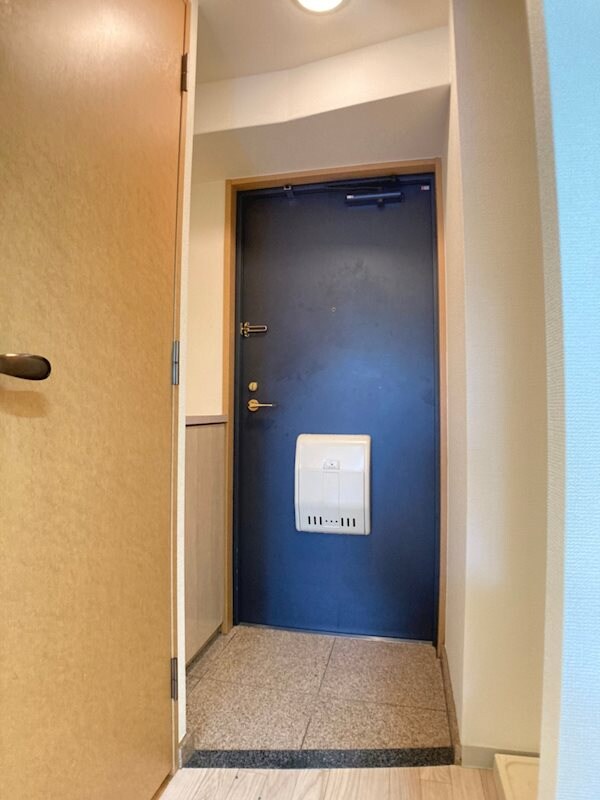 物件内観写真4　(明るい玄関です)