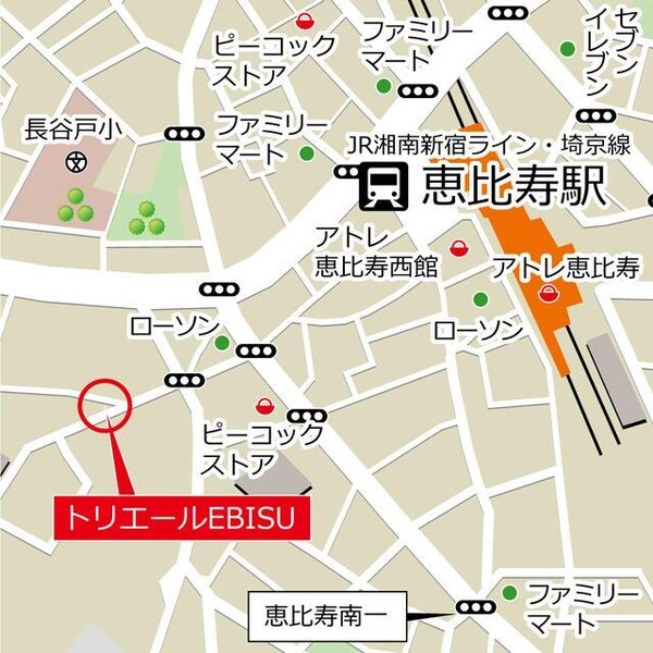 その他( )