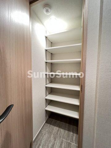 物件内観写真5　(たっぷりとした収納スペースです)