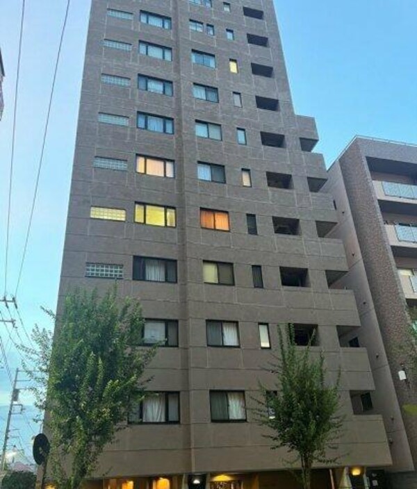 外観( )