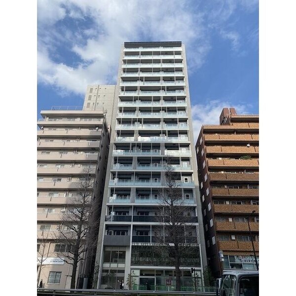 その他( )