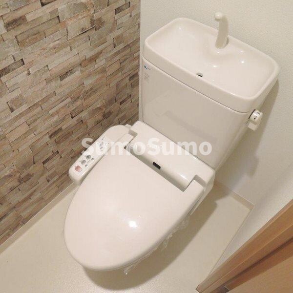 物件内観写真8　(落ち着いたトイレです)