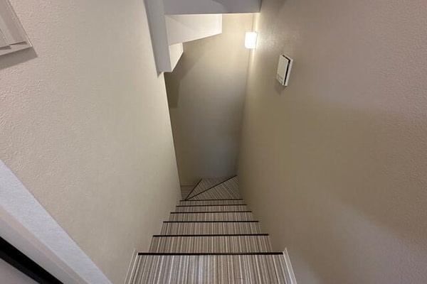 その他( )