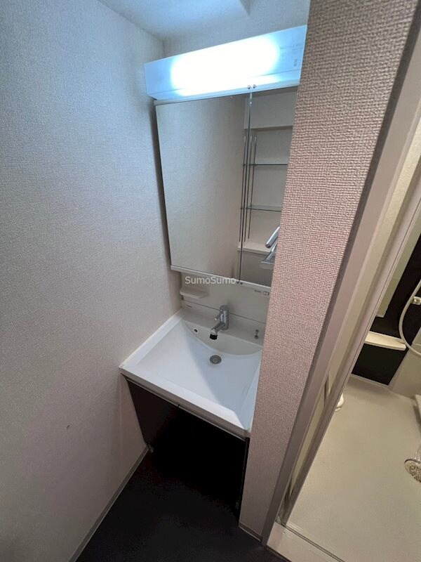 物件内観写真11　(忙しい朝には欠かせない洗面所です)