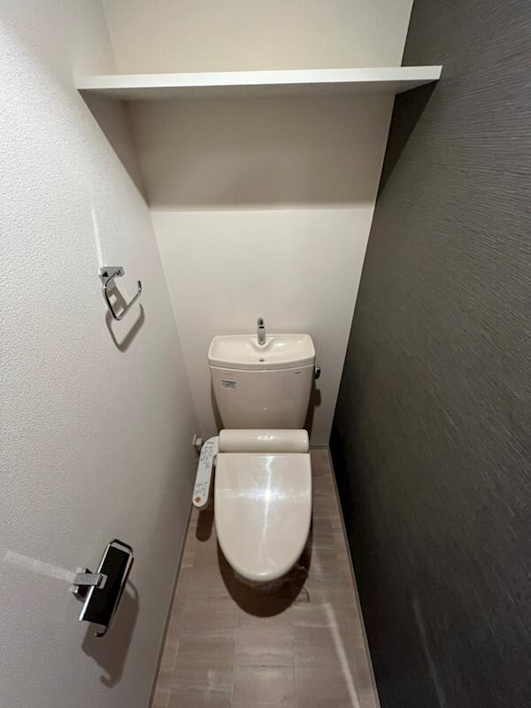 物件内観写真10　(落ち着いたトイレです)