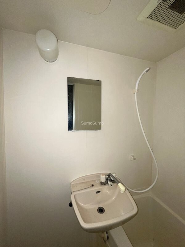 物件内観写真11　(広い洗面スペース)