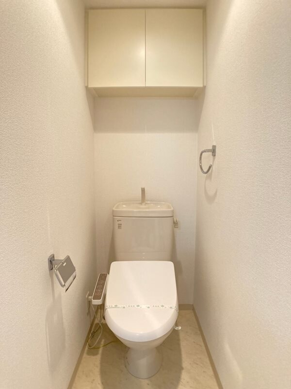物件内観写真10　(落ち着いた色調のトイレです)
