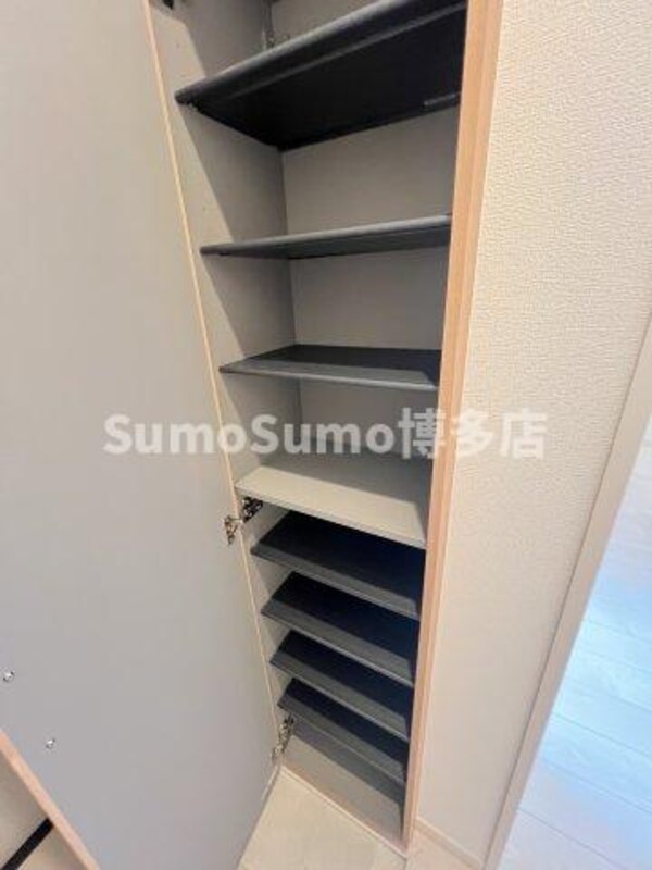 収納(たっぷりとした収納スペースです)