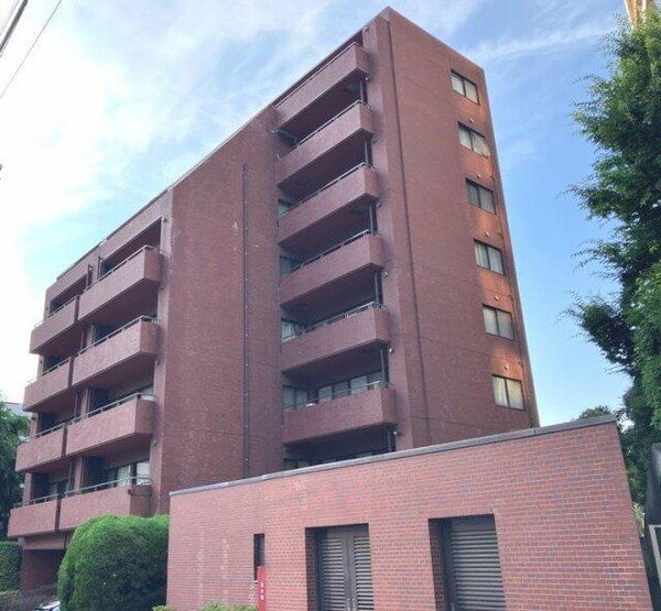 外観( )