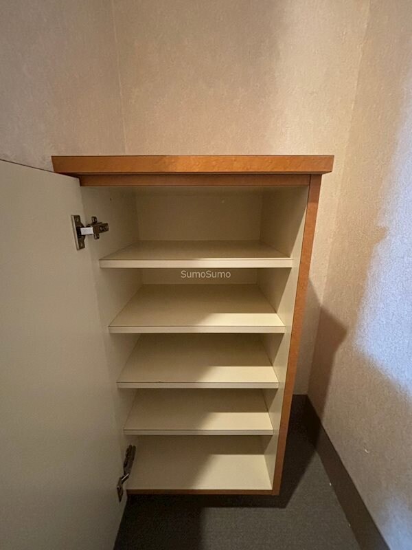 収納(大きなものも収納できそうです)