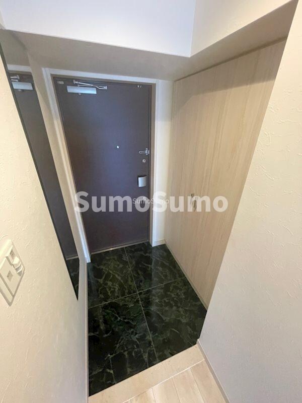 物件内観写真5　(収納もある玄関です)