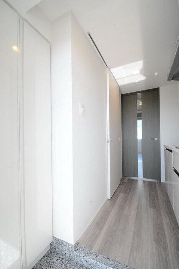 玄関(※カラータイプ異なります )