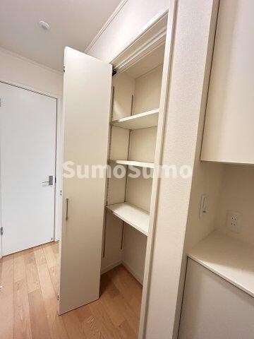 物件内観写真5　(たっぷりとした収納スペースです)