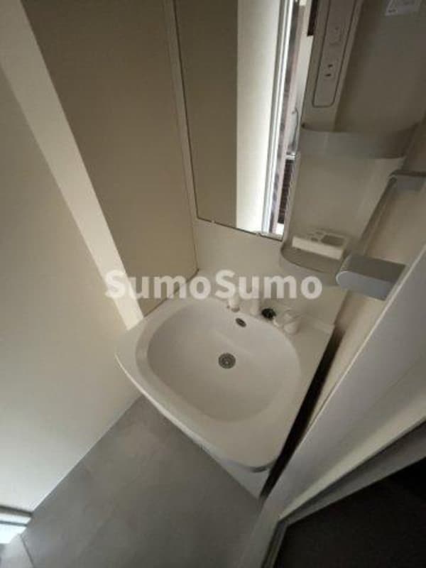 その他(明るい洗面所です)