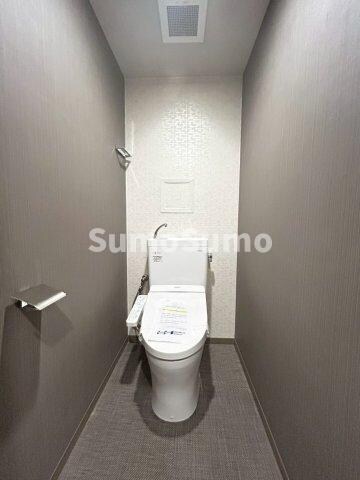 物件内観写真10　(落ち着いたトイレです)