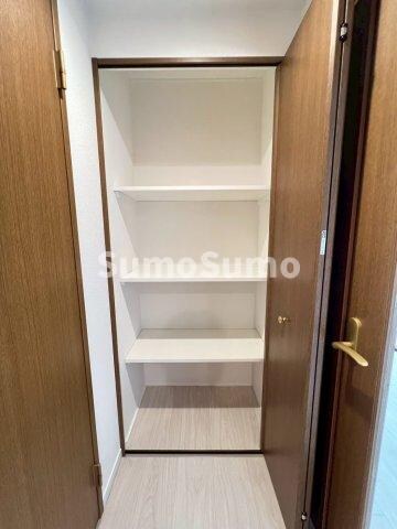 物件内観写真20　(たっぷりとした収納スペースです)