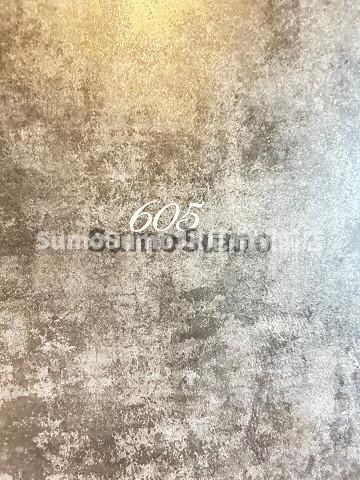 物件外観写真6　(駐車場です)