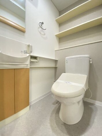 物件内観写真6　(落ち着いたトイレです)