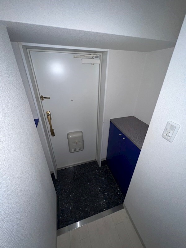 物件内観写真4　(ゆったりとした玄関です)