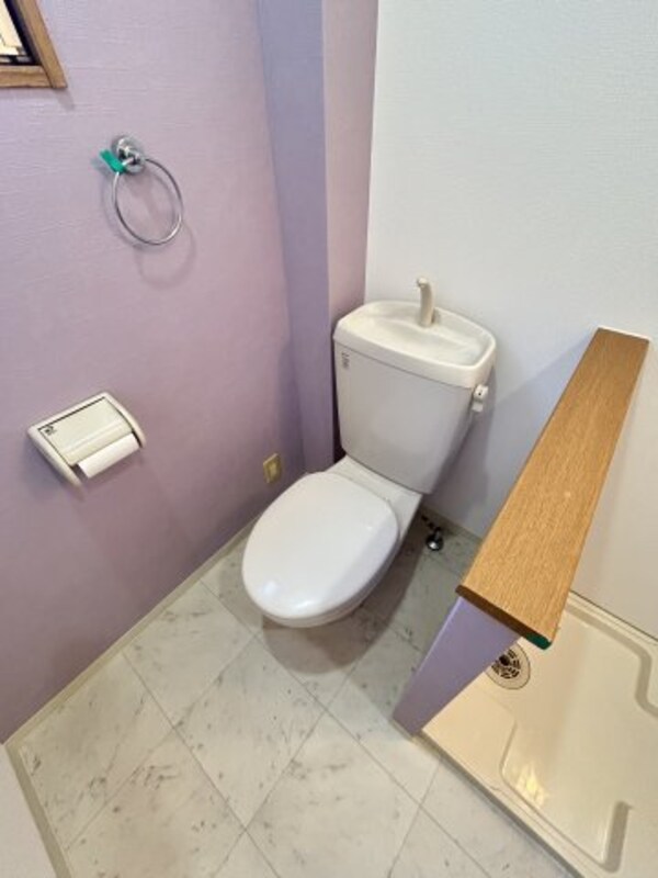 トイレ(スペースが確保できる洗面所です)