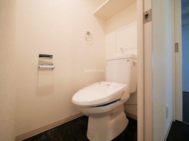 物件内観写真10　(落ち着いたトイレです)