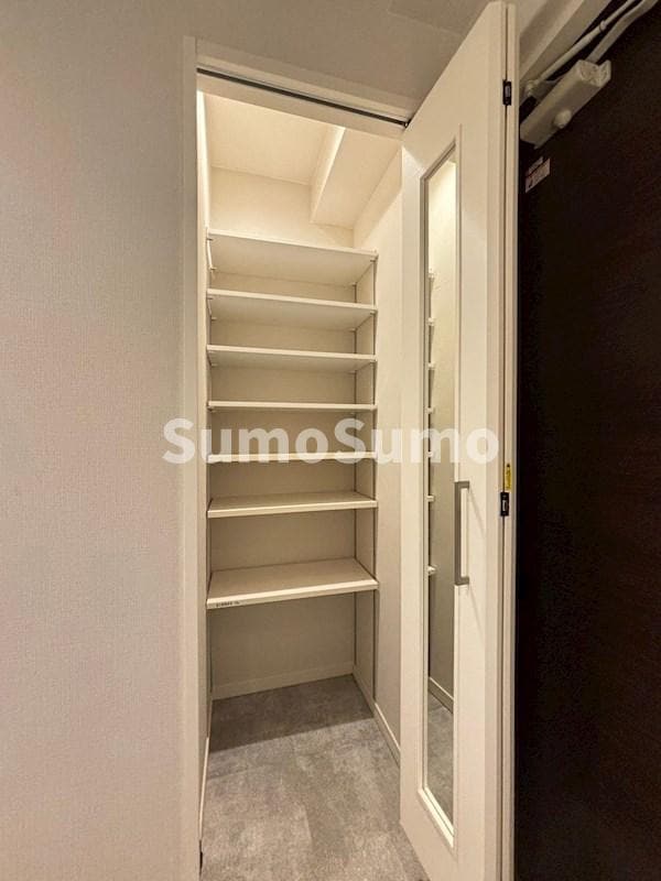 収納(大きなスペースがあり、収納には困りません)