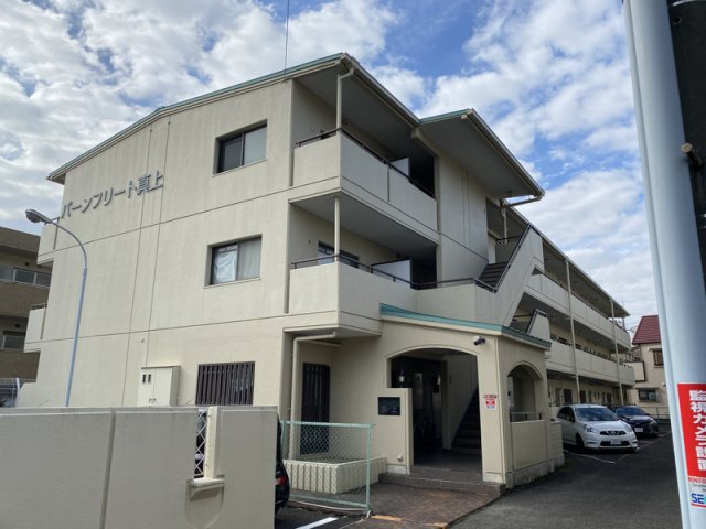 バーンフリート真上