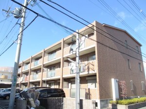 アムールカセイ外観写真