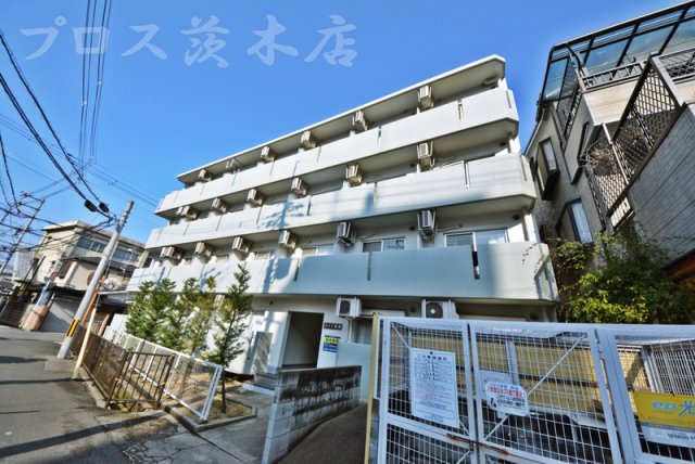 marry茨木