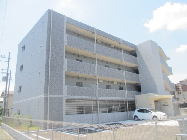 カメリアY