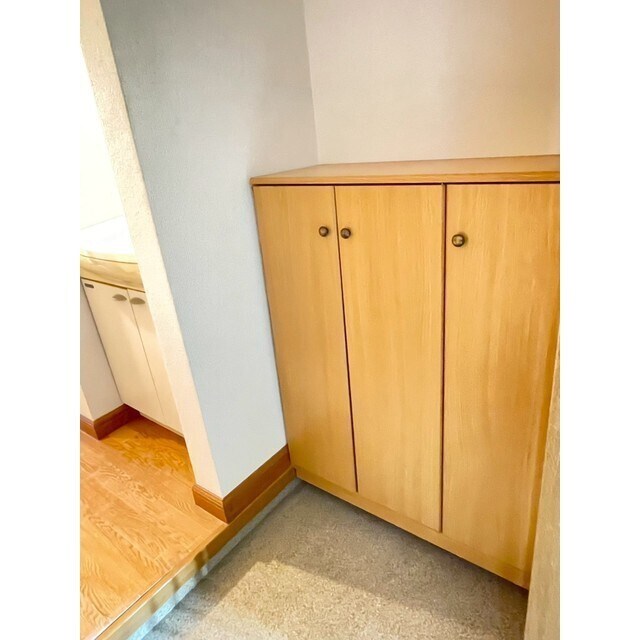 物件内観写真19　(シューズボックス)