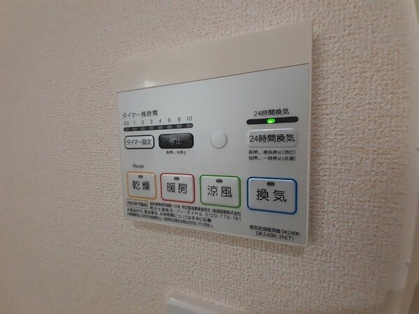 その他(同型反転写真です。)