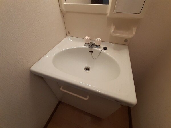 洗面所(同物件別部屋タイプ)
