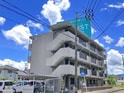 アマリリス