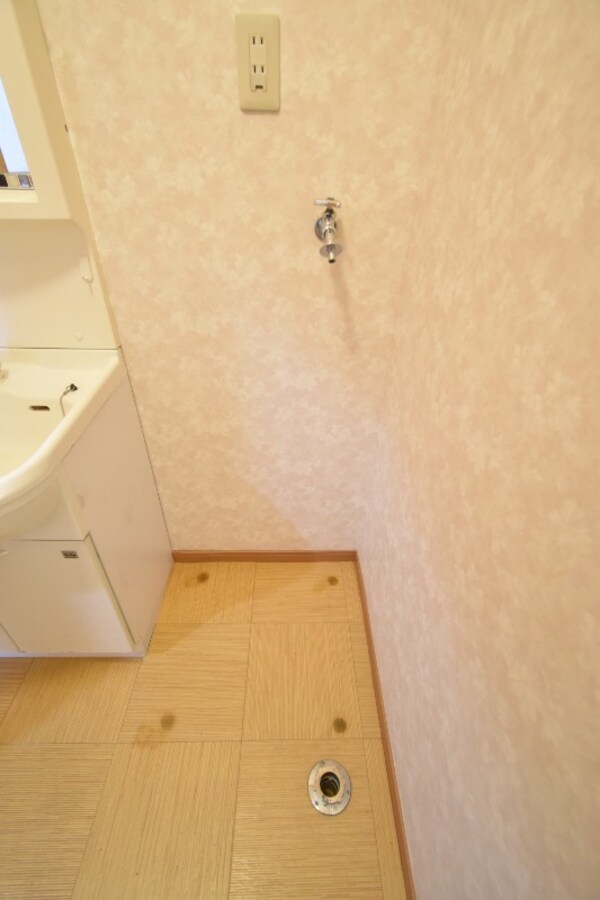 収納(洗濯機置き場)