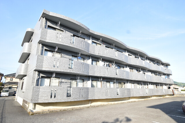 グレイスコート