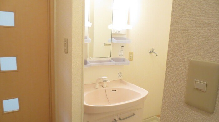 物件内観写真9　(シャンプードレッサー)