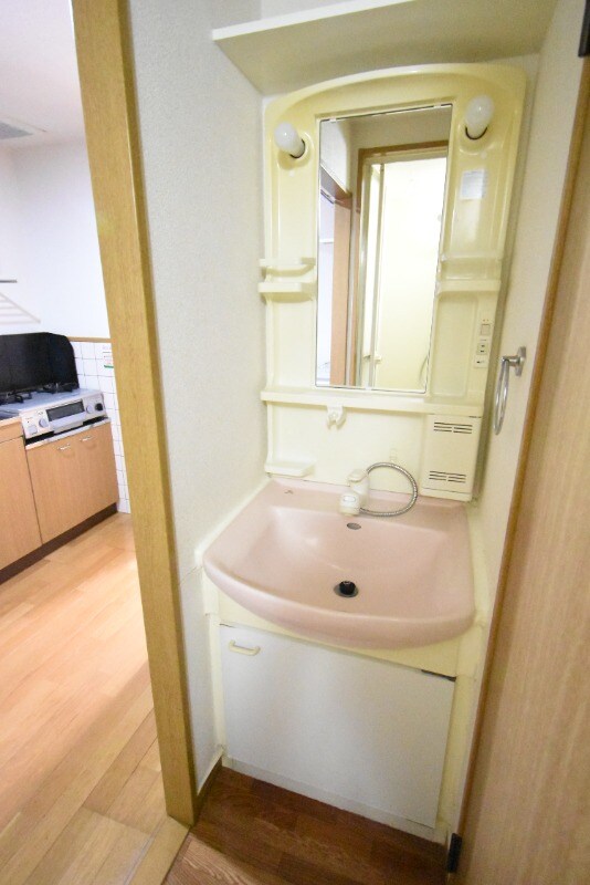 物件内観写真11　(シャンプードレッサー)